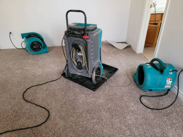 Best 24-hour water damage restoration  in Boston, MA