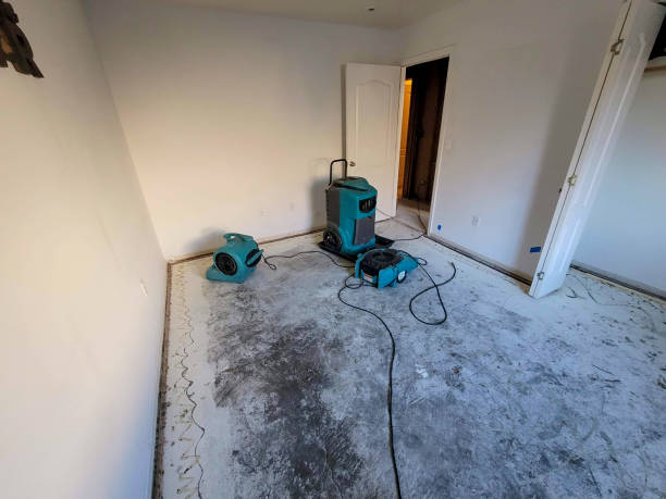 Best Mold removal after water damage  in Boston, MA
