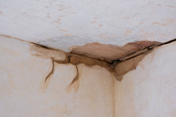 Best Basement water damage restoration  in Boston, MA