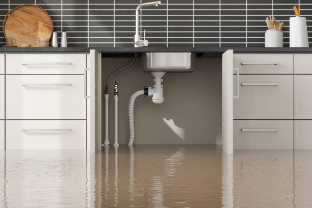 Best Flood damage cleanup  in Boston, MA