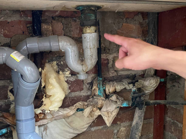 Best Flooded house restoration  in Boston, MA
