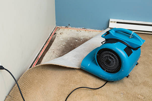 Sewage cleanup and water damage restoration in Boston, MA